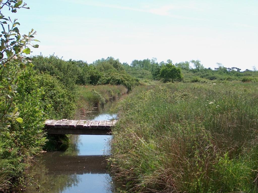 Camping Kost Ar Moor Fouesnant Bagian luar foto